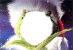The Grinch - Jim Carrey